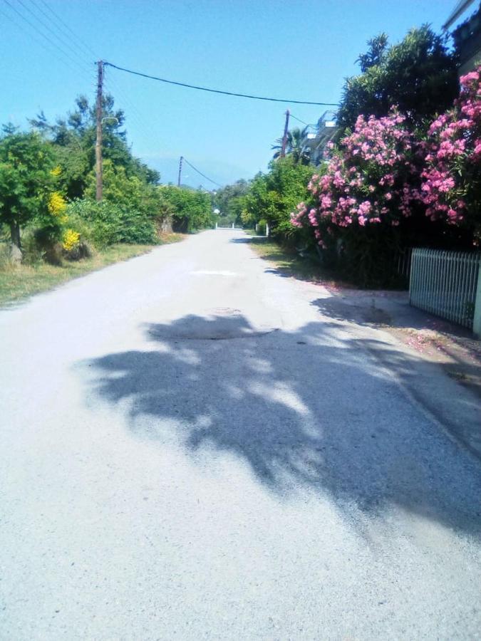 Little Beauty - Happyhostgr - In Platamonas Exterior foto